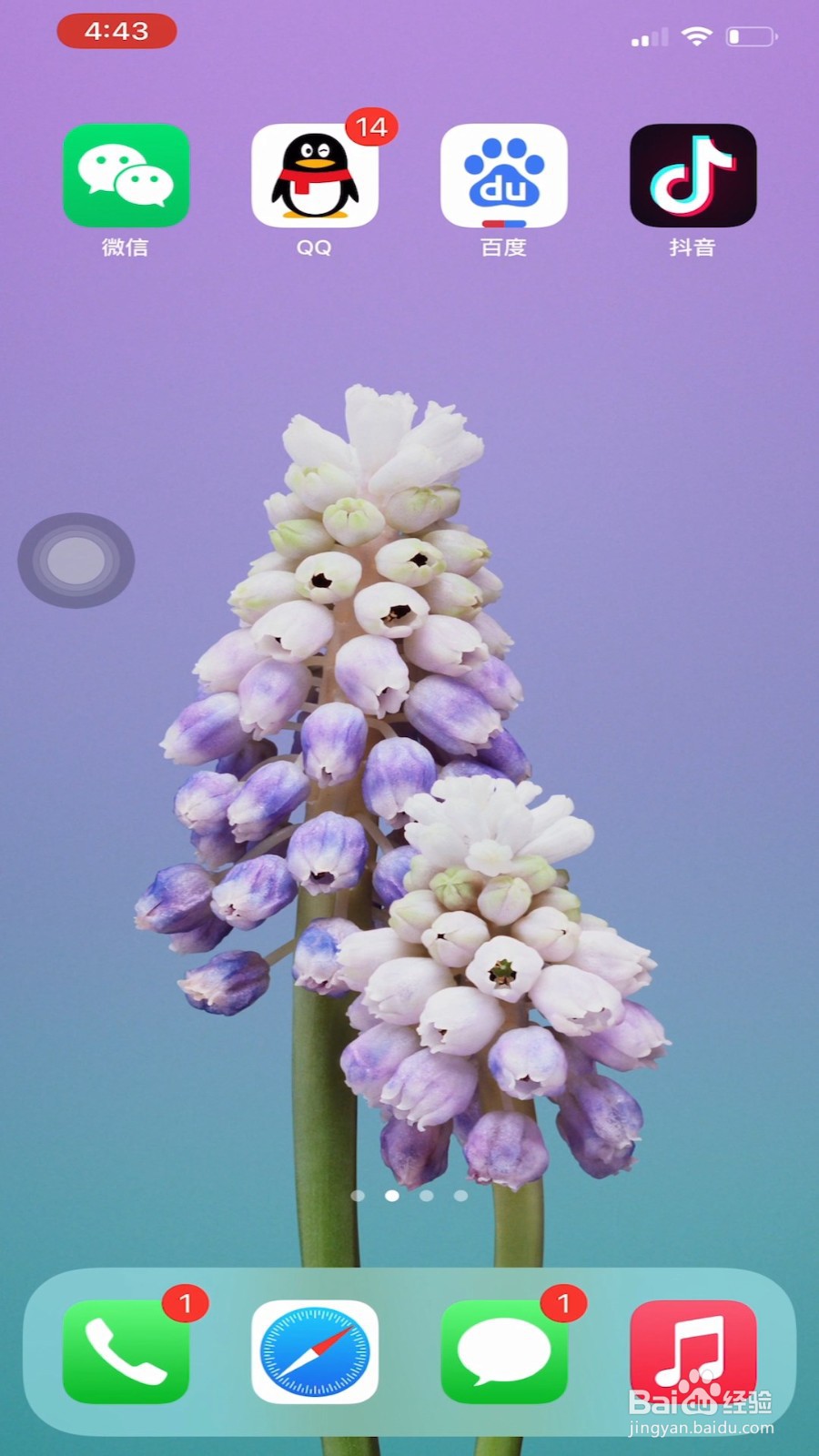 抖音表情小辫子怎么弄