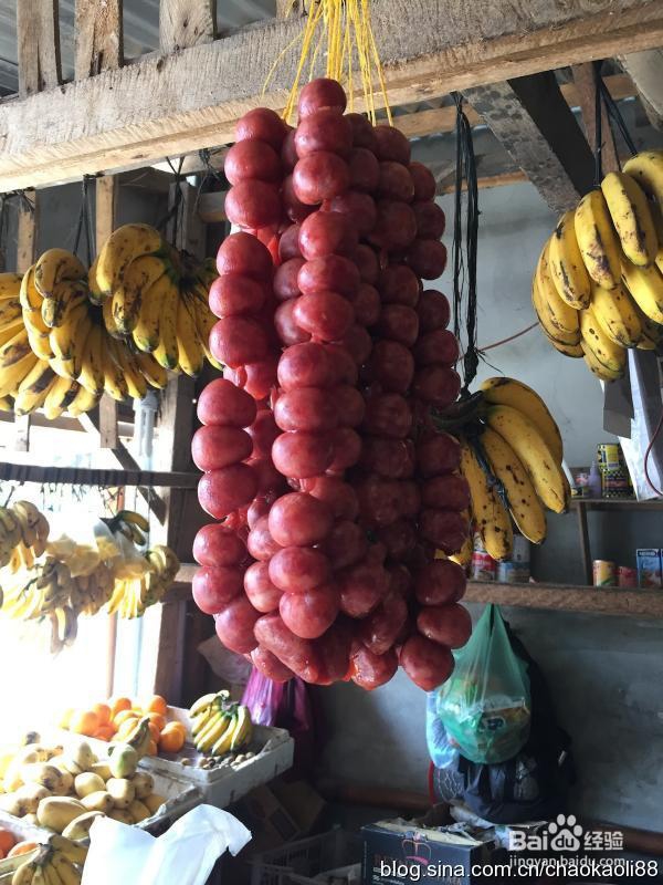 IELTS 2month in 宿雾SMEAG