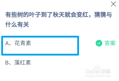 蚂蚁庄园2024.11.23树叶到秋天就变红与什么有关