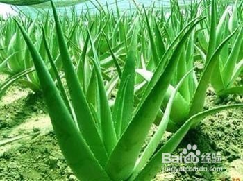 你真的懂得养生之道吗