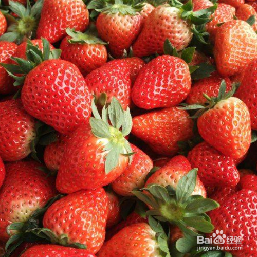 草莓定植后的管理技术