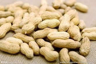 怎样增强提高记忆力