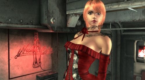 辐射3队友和特殊物品位置入手方法