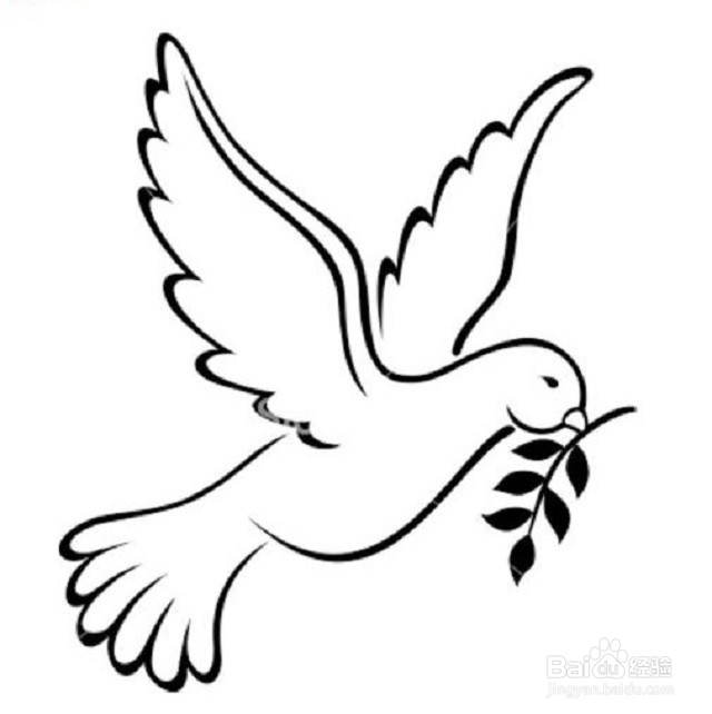代表和平的信鸽