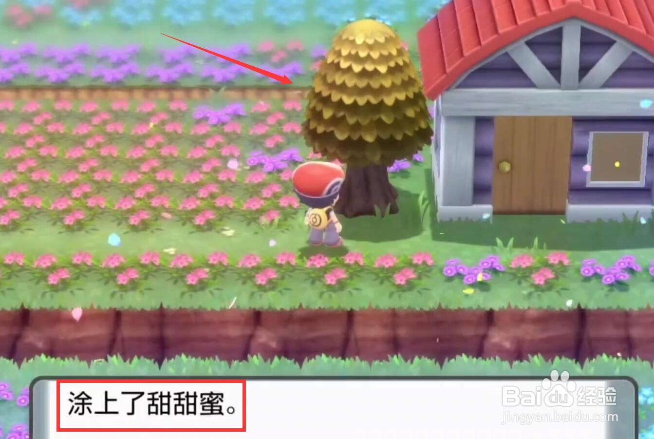 宝可梦晶灿钻石甜甜蜜怎么用