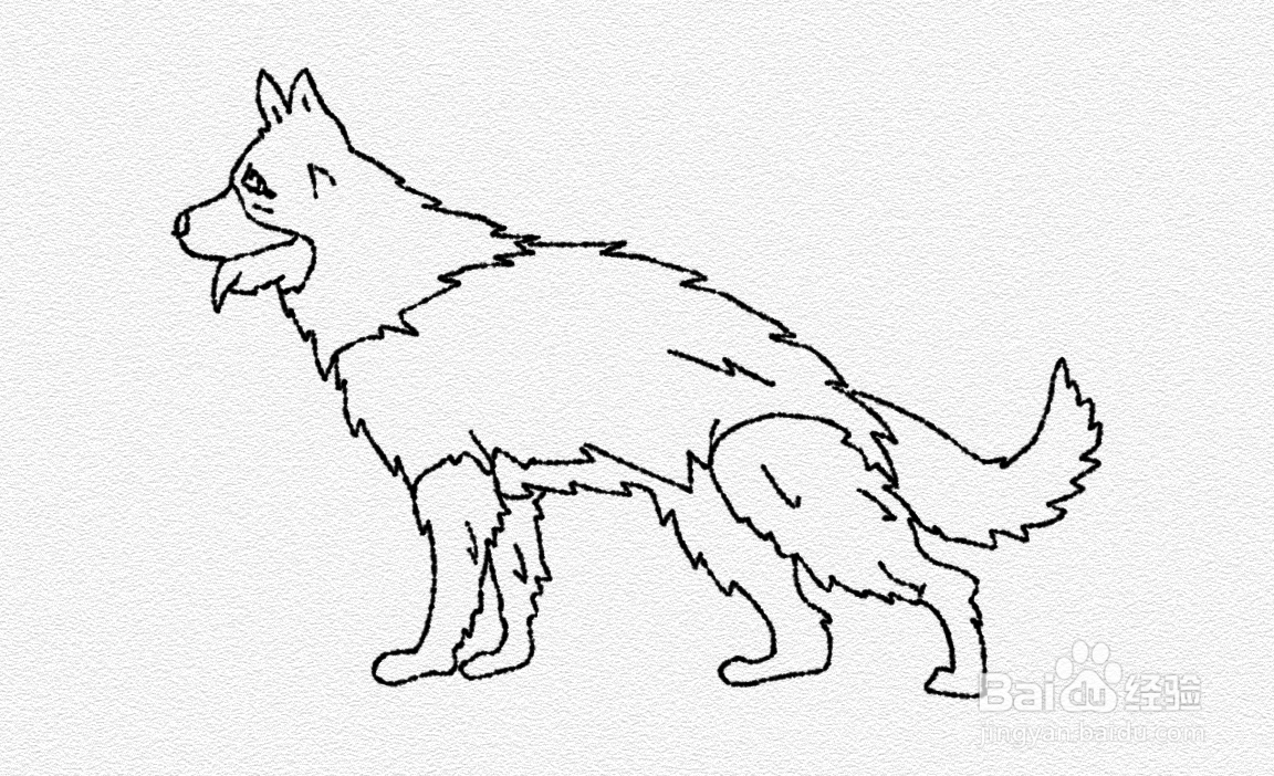 德牧犬如何简笔画
