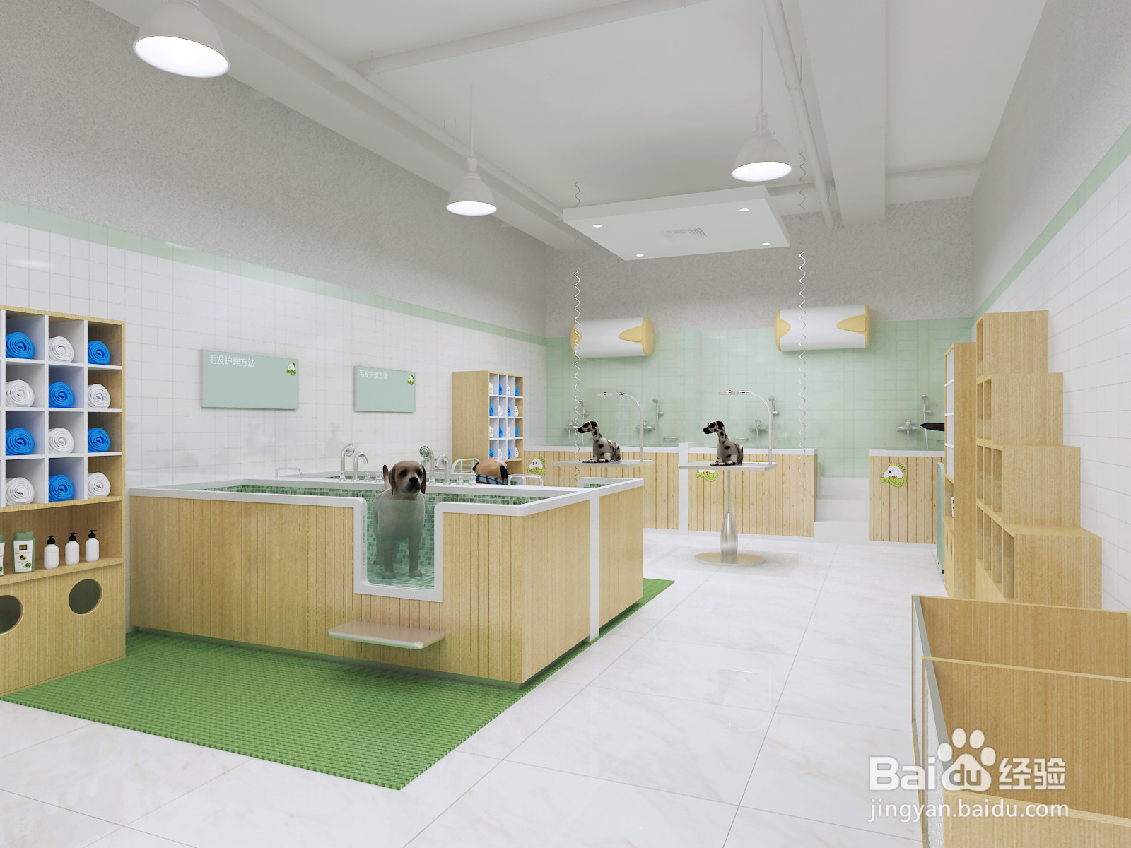 猫店加盟哪个品牌最靠谱？