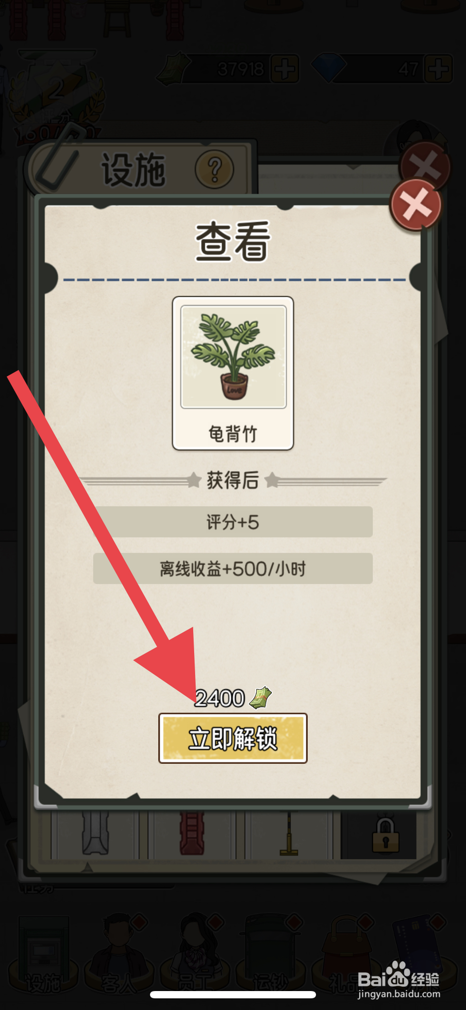 我的亿万富翁之路在哪解锁龟背竹