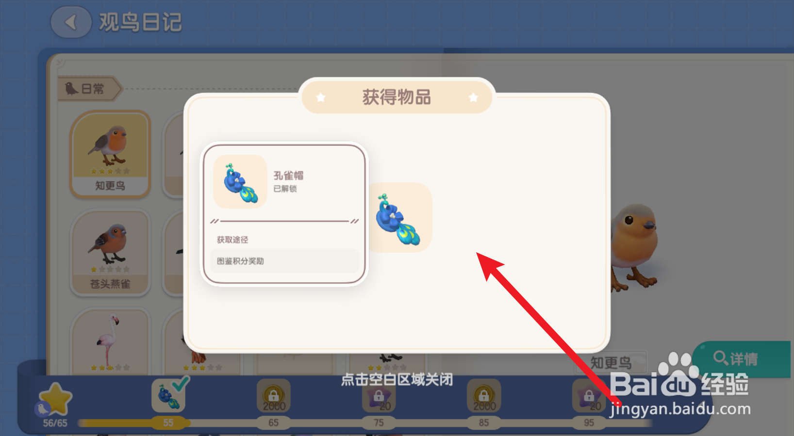 心动小镇怎么获得孔雀帽