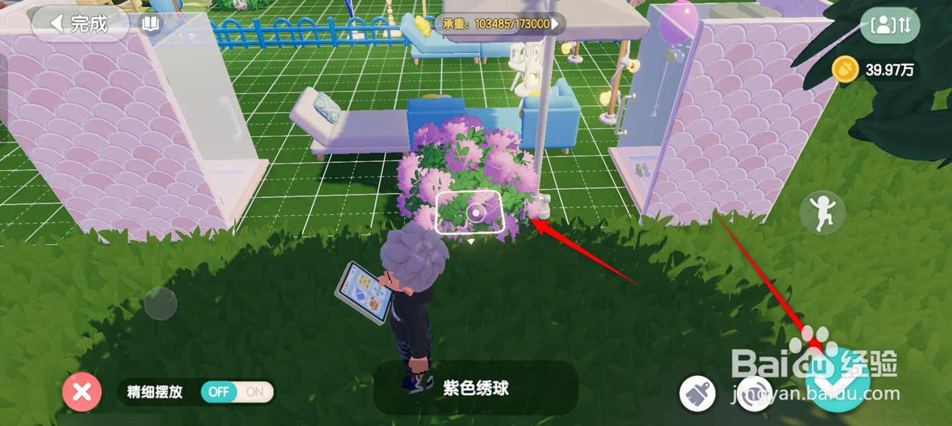 心动小镇如何在家园摆出绣球花绿植