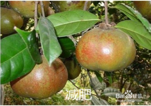 油茶籽油好处多多