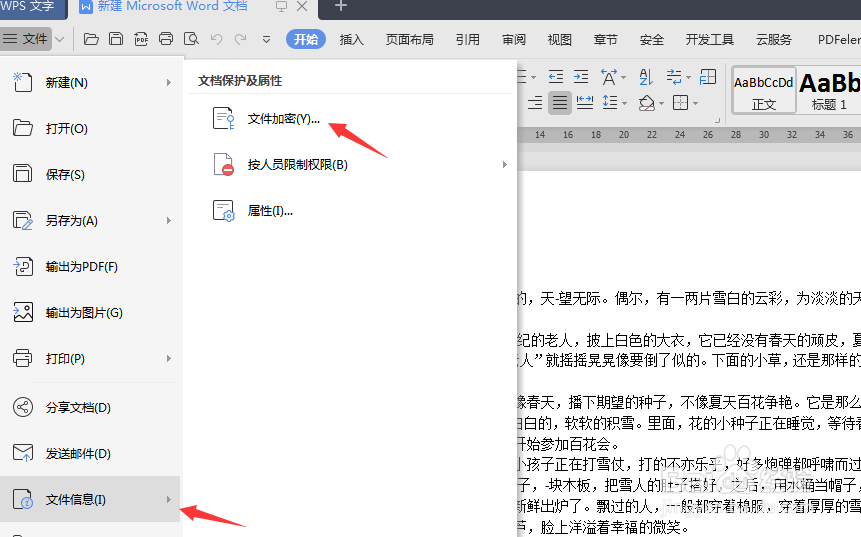 wps文档怎样消除密码保护?