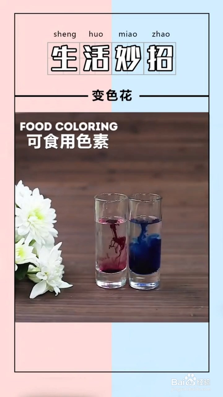 如何使花朵变颜色