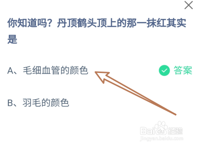 蚂蚁庄园9月11日丹顶鹤头顶上的那一抹红其实是