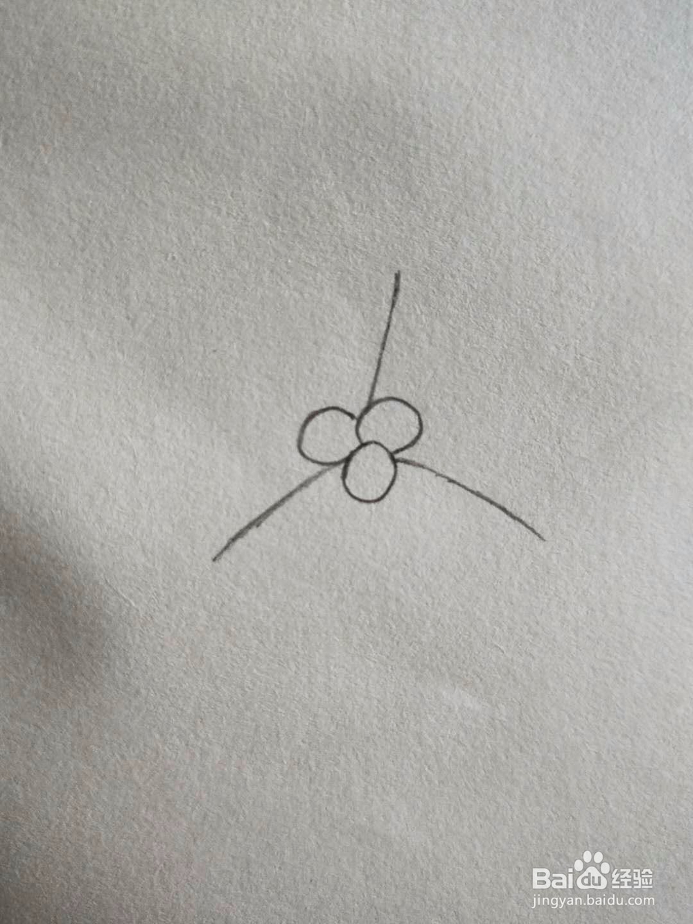 简笔画-怎样画山楂球