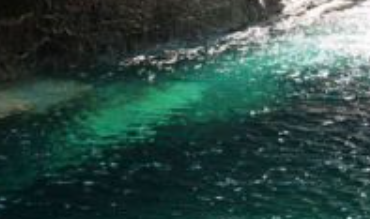 深潭的水为什么特别绿