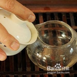 斗记普洱新生茶的冲泡之法