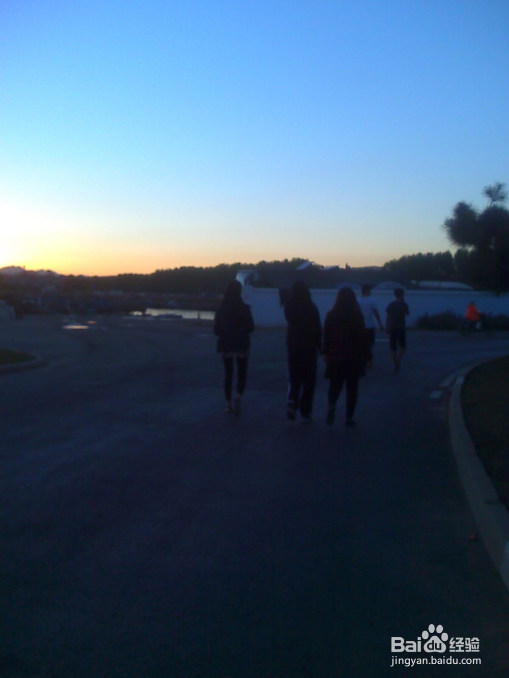 怎样告诉孩子安全出行---51