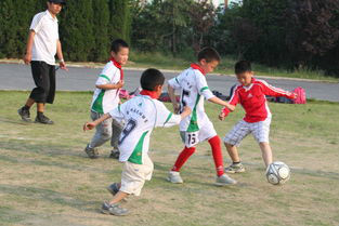 缓解学习压力的简单技巧