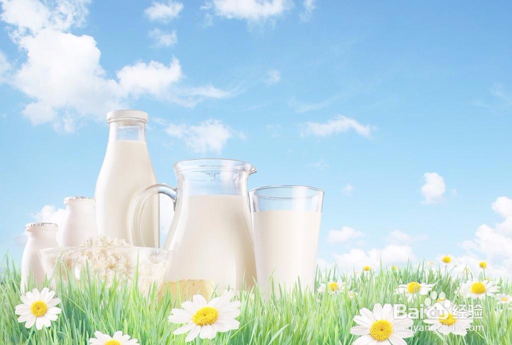 吃什么东西养胃