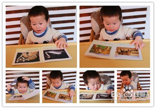 亲子阅读的作用