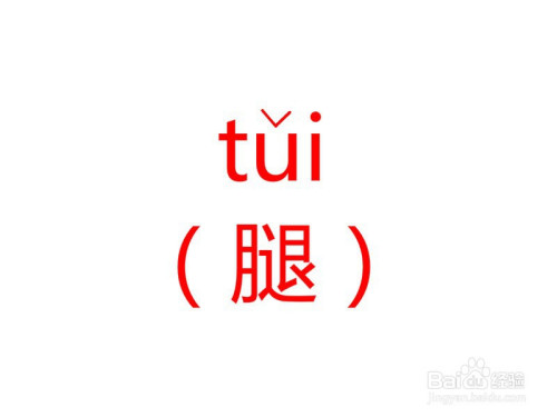 火腿拼音怎么拼写