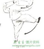 杨式太极拳回身右蹬脚图解