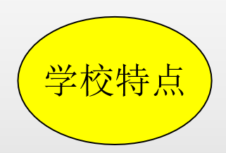 山东新高考如何填志愿