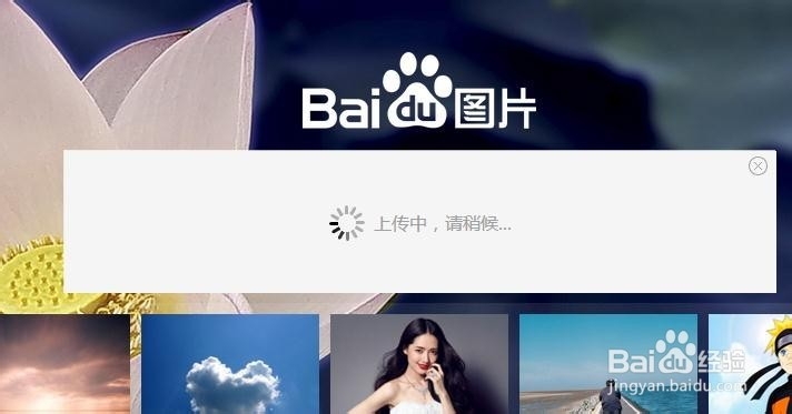 【识图】怎样查找图片的来源出处