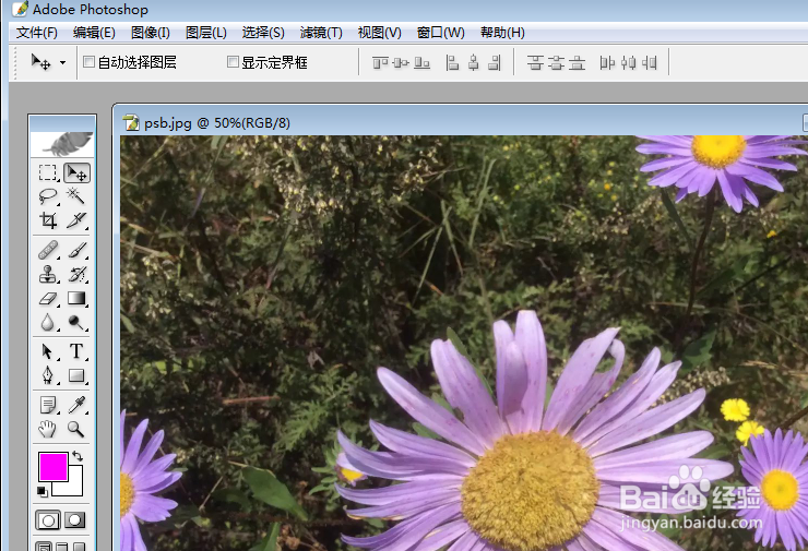 怎么样才能用PS在图片上添加所需的文字