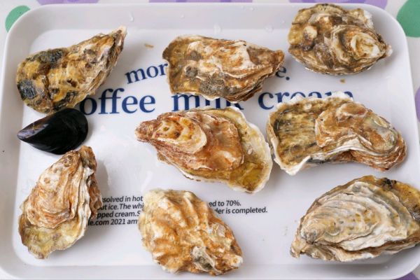 河虾籽豉油蒸生蚝