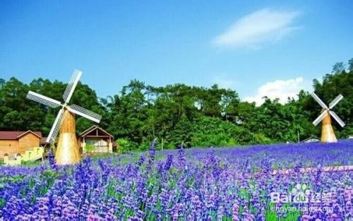 增城二龙山景区攻略