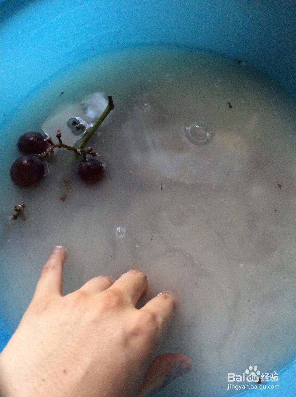 如何清洗葡萄，买回来的葡萄怎么清洗才干净