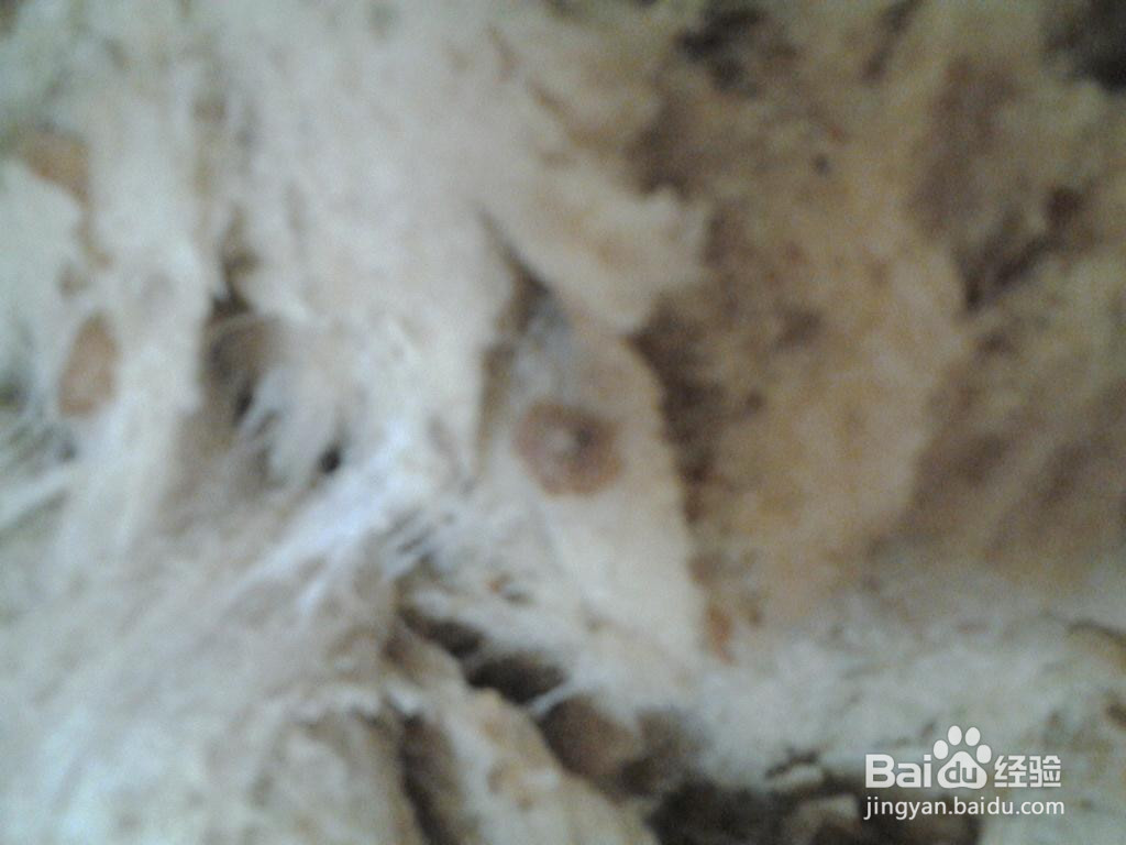 简易椰丝果仁面包的做法