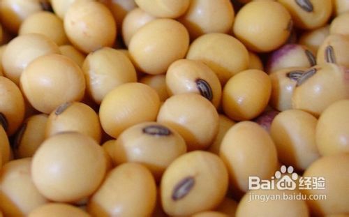 5大美容食品让你焕发年轻容颜