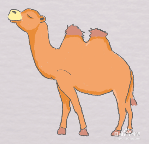 沙漠中的骆驼怎么画