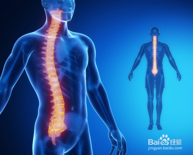 什么叫马尾神经受压？