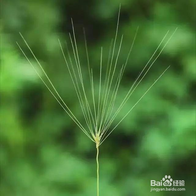 教你如何学习对焦,让你图片不在毁掉