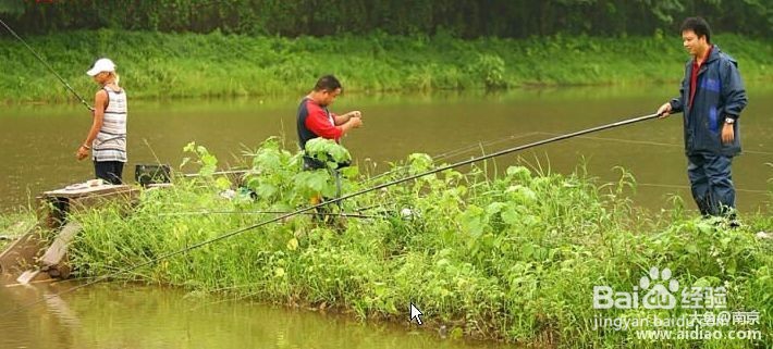 怎么学习钓鱼?