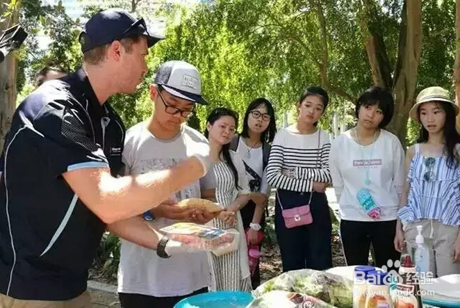 吉内得总基地研学之旅研学攻略