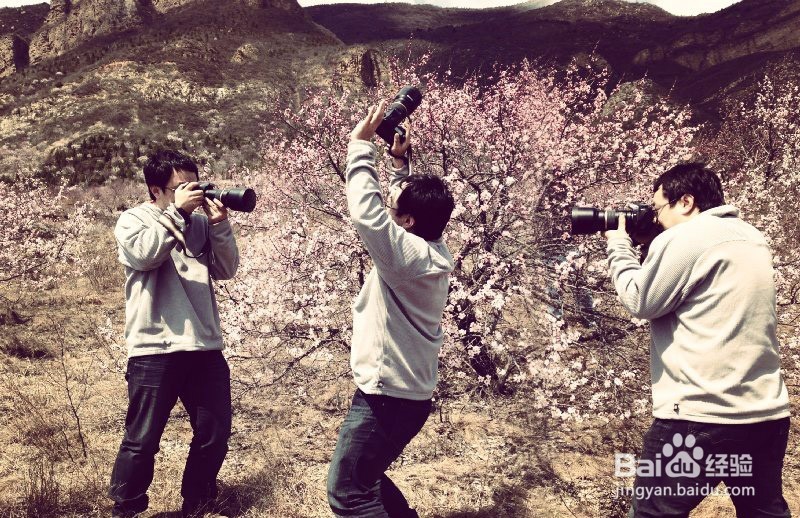 小机快跑推荐3款傻瓜式的图片处理APP