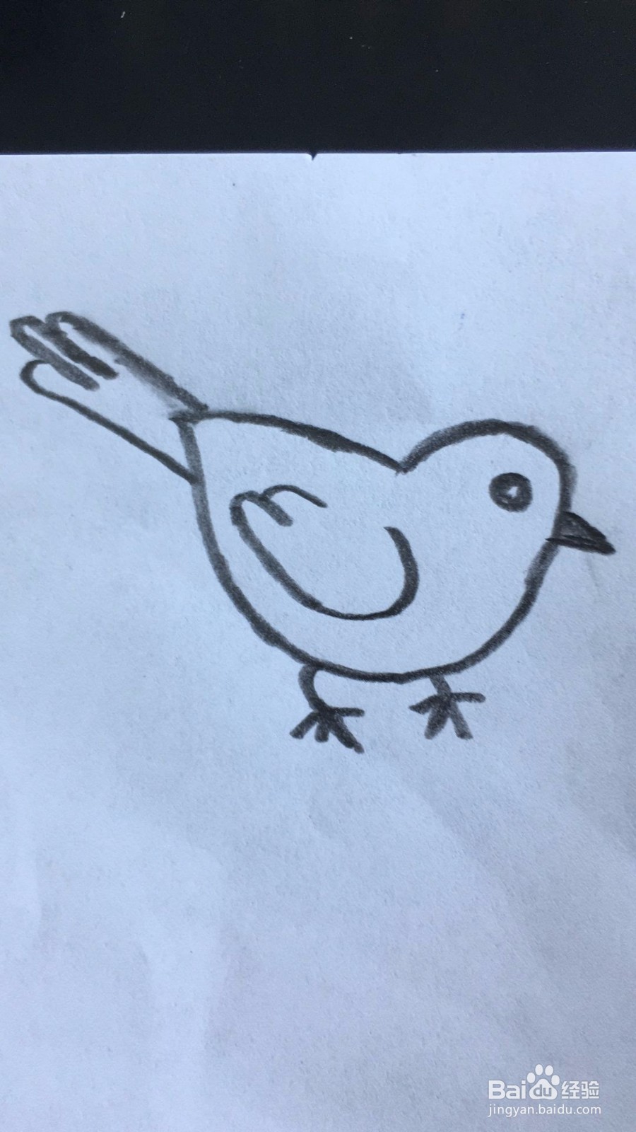 一只站在椰子树上的鸟怎么画