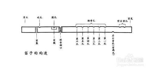 管子1234567指法