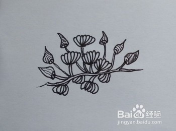 植物的线描画:花卉