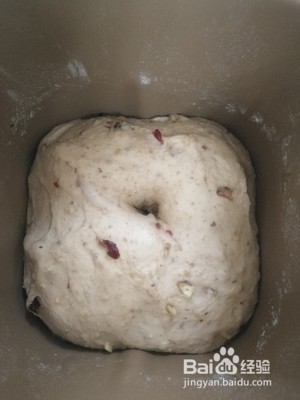 核桃蔓越莓面包的做法