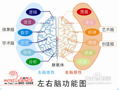 文史类专业怎么训练记忆