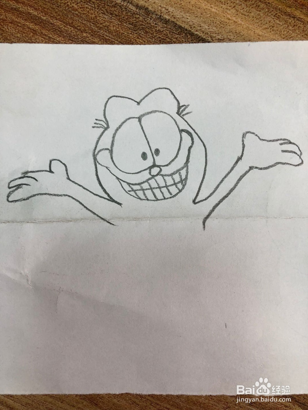 加菲猫的简笔画