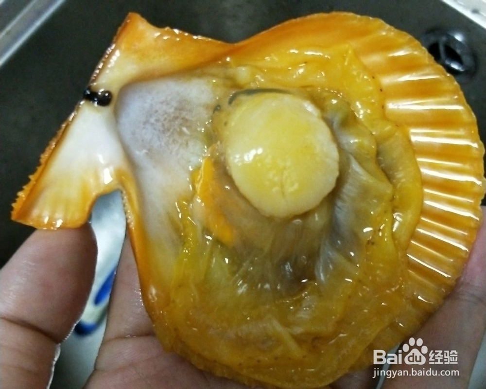 教你怎么做蒜蓉蒸扇贝