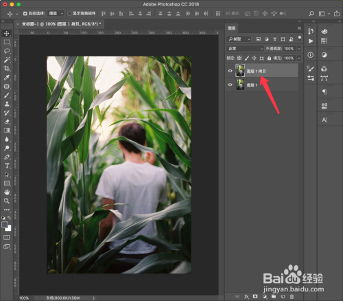 如何使用Photoshop使照片变得通透鲜亮