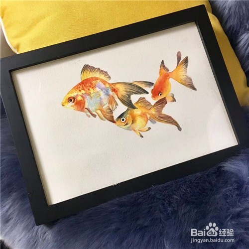 简笔画：金鱼的画法